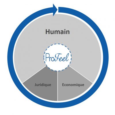 Concept ProFeel schématisé Concept ProFeel schématisé